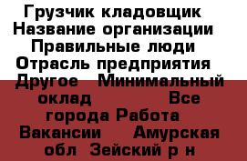 Грузчик-кладовщик › Название организации ­ Правильные люди › Отрасль предприятия ­ Другое › Минимальный оклад ­ 26 000 - Все города Работа » Вакансии   . Амурская обл.,Зейский р-н